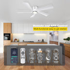 52'' Low Profile Ceiling Fan with Lights Remote