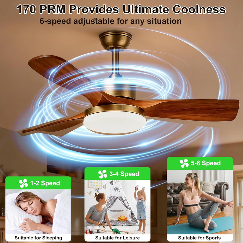 52inch Ceiling Fans with Lights and Remote Smart