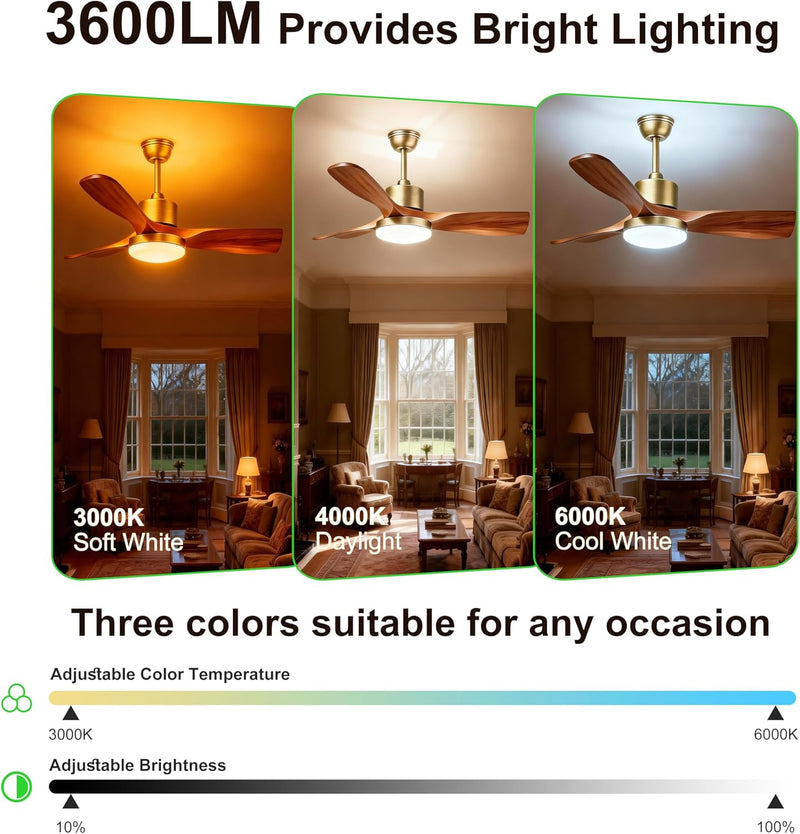 52inch Ceiling Fans with Lights and Remote Smart
