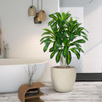 5FT Artificial Dracaena Plant Large Plants with Tall