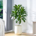 5FT Artificial Dracaena Plant Large Plants with Tall