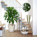 5FT Artificial Dracaena Plant Large Plants with Tall