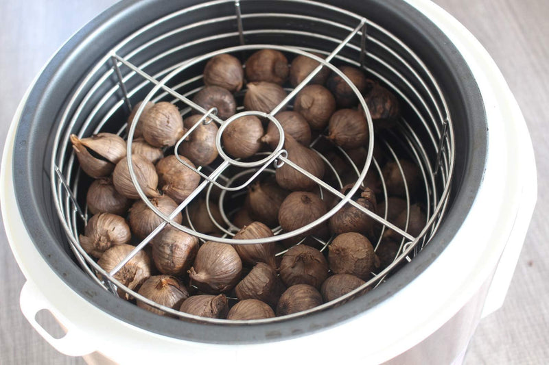 5L Garlic Fermenter Full Automatic Intelligent Control Garlics