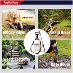 5lpaps 5 Litre Pump Action Pressure Sprayer