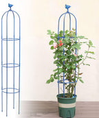 6 Feet Tall Garden Trellis for Climbing Plants