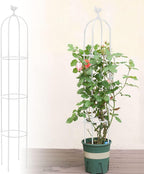 6 Feet Tall Garden Trellis for Climbing Plants