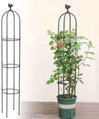 6 Feet Tall Garden Trellis for Climbing Plants