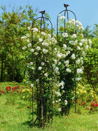 6 Feet Tall Garden Trellis for Climbing Plants