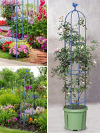 6 Feet Tall Garden Trellis for Climbing Plants