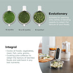 6-In-1 -Purpose Food Processor Steam Cooker Blender Large