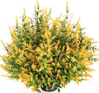 6 Pcs Artificial Lavender Flowers Decorative Plastic Plants