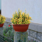 6 Pcs Artificial Lavender Flowers Decorative Plastic Plants