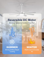 60'' Ceiling Fans with Lights