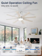 60'' Ceiling Fans with Lights