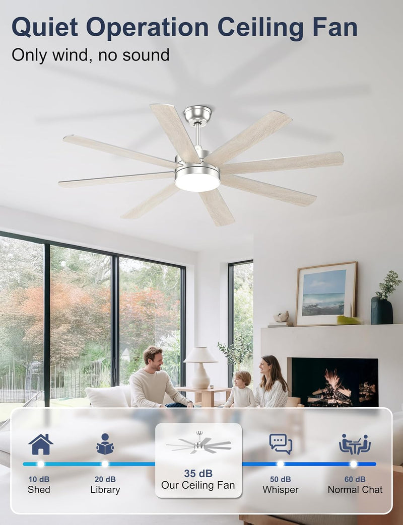 60'' Ceiling Fans with Lights