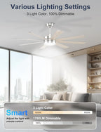 60'' Ceiling Fans with Lights