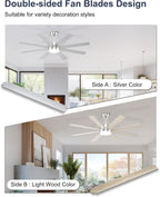 60'' Ceiling Fans with Lights