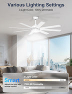 60'' Ceiling Fans with Lights Modern Fan Remote