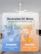60'' Ceiling Fans with Lights Modern Fan Remote