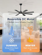 60'' Ceiling Fans with Lights Modern Fan Remote