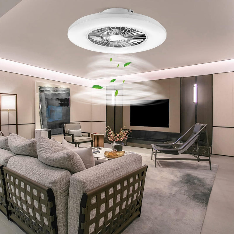 60CM LED Ceiling Light with Fan Lights