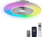 60CM LED Ceiling Light with Fan Lights 24