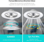 60CM LED Ceiling Light with Fan Lights 24