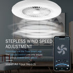 60CM LED Ceiling Light with Fan Lights 24