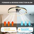 60CM LED Ceiling Light with Fan Lights 24