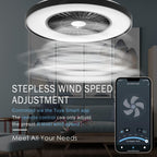 60CM LED Ceiling Light with Fan Lights 24