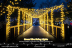 60m 500 LED Fairy Lights