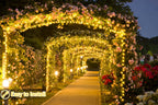 60m 500 LED Fairy Lights