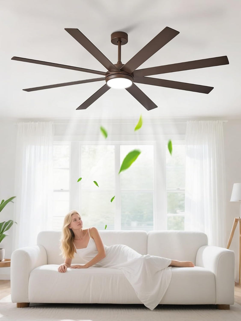 66" Ceiling Fans with Lights: Large