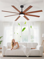 66" Ceiling Fans with Lights: Large