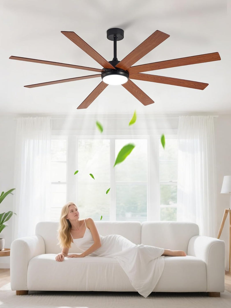 66" Ceiling Fans with Lights: Large