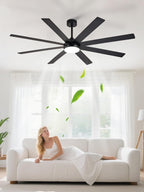 66" Ceiling Fans with Lights: Large