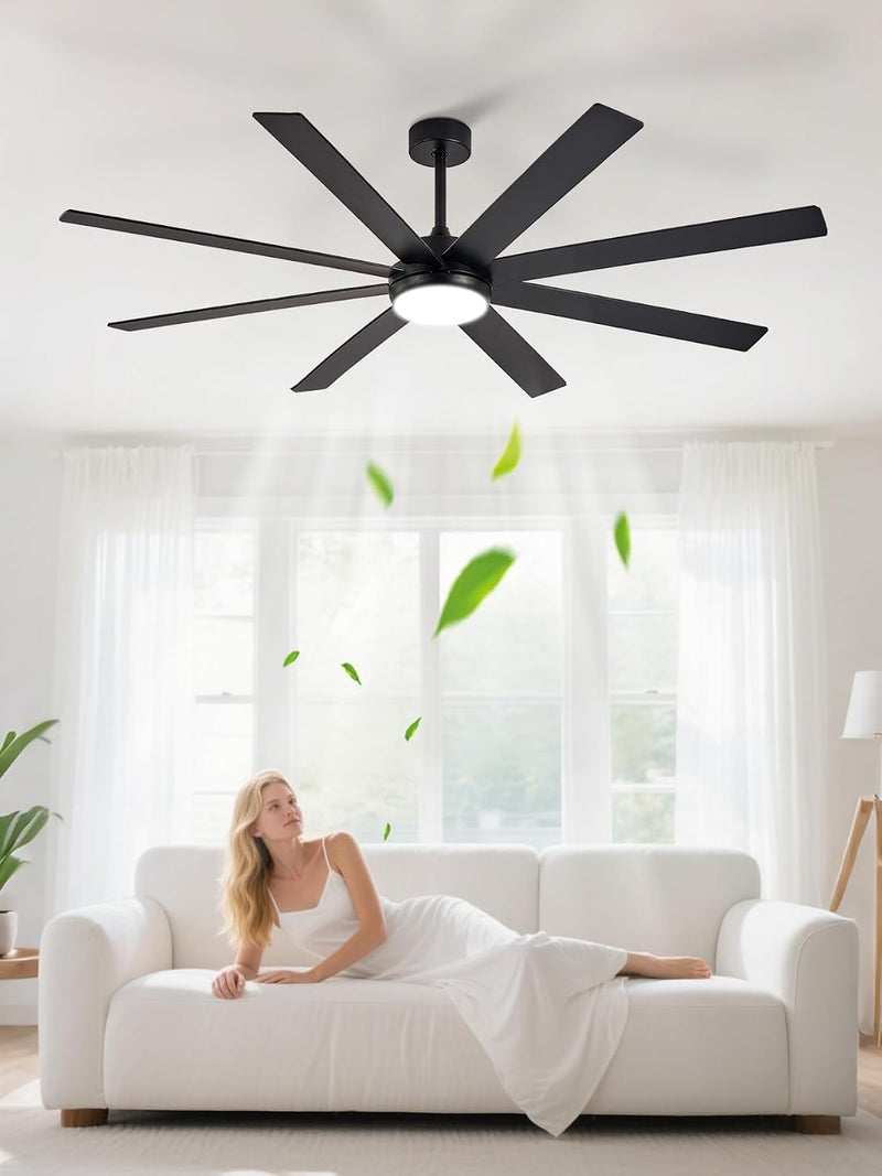 66" Ceiling Fans with Lights: Large