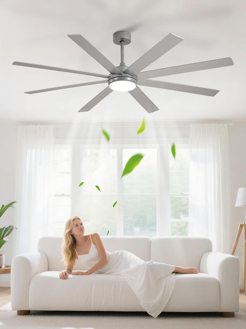 66" Ceiling Fans with Lights: Large