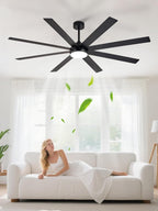 66" Ceiling Fans with Lights: Large