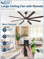 66" Ceiling Fans with Lights: Large