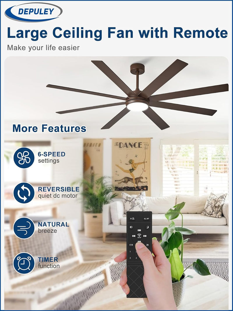 66" Ceiling Fans with Lights: Large