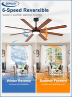 66" Ceiling Fans with Lights: Large