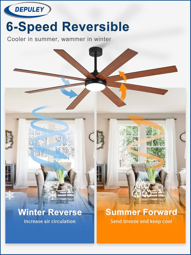66" Ceiling Fans with Lights: Large