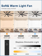 66" Ceiling Fans with Lights: Large
