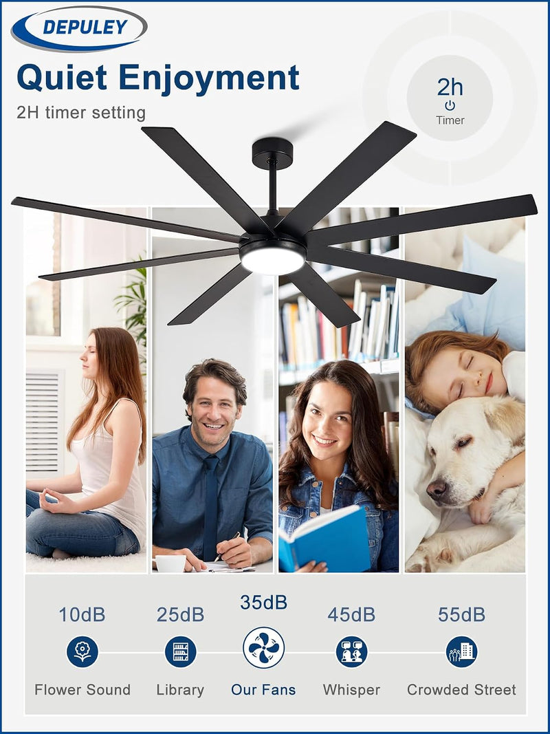 66" Ceiling Fans with Lights: Large