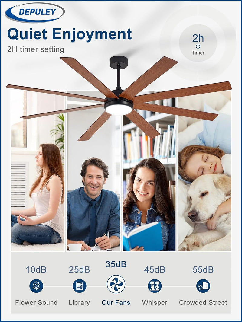66" Ceiling Fans with Lights: Large