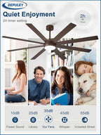66" Ceiling Fans with Lights: Large