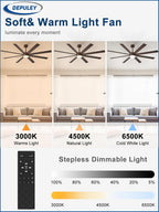 66" Ceiling Fans with Lights: Large