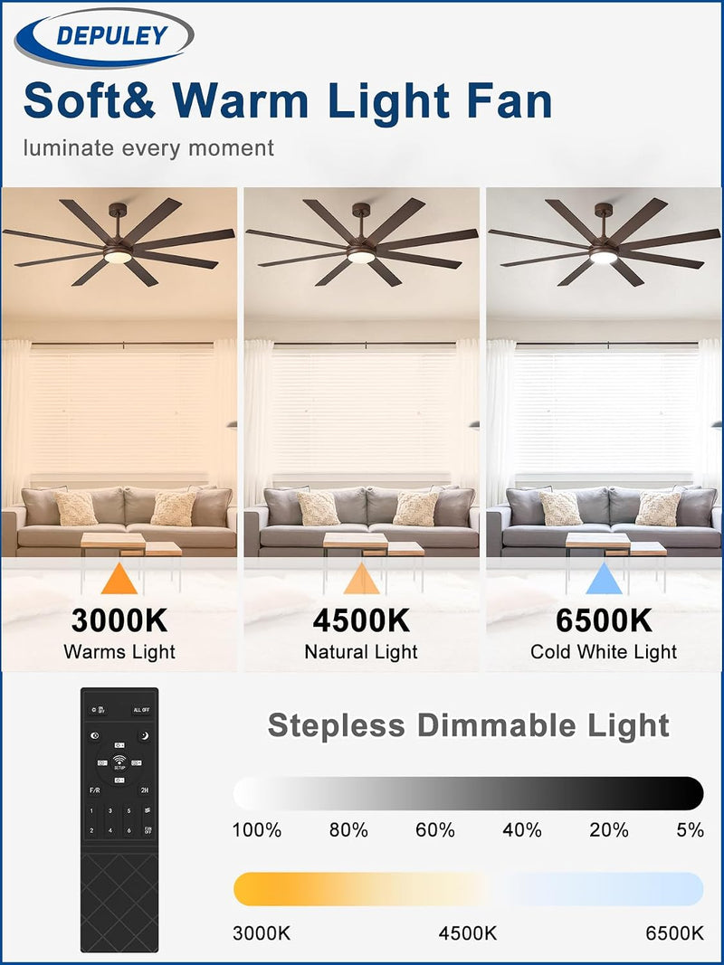 66" Ceiling Fans with Lights: Large
