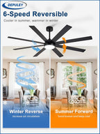 66" Ceiling Fans with Lights: Large